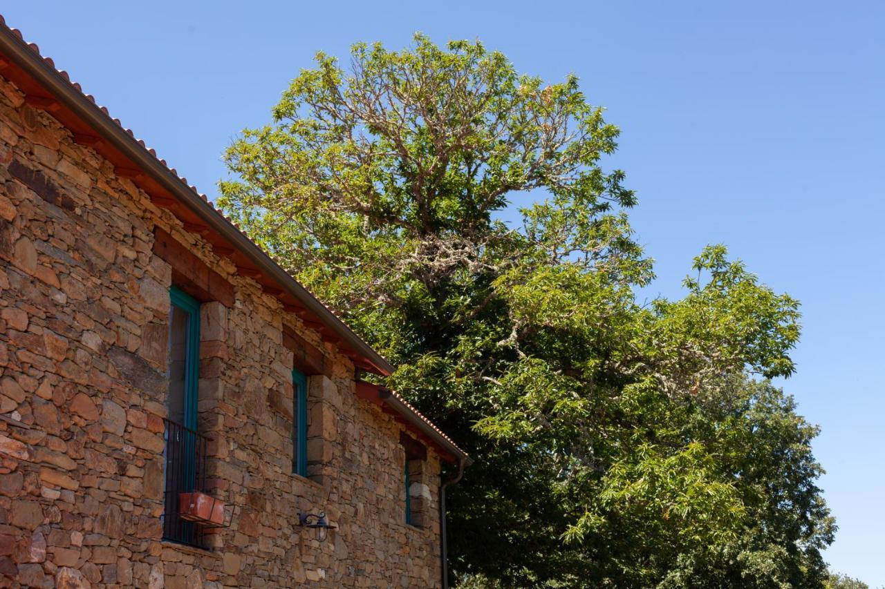 Casa Terra Alma Guest House Laza Exterior photo